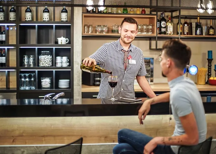 Ibis Centre Giraudeau