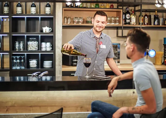 Ibis Centre Giraudeau فندق